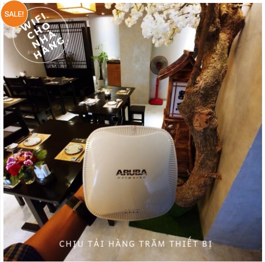 Bộ phát wifi chuyên dụng Aruba 115 chịu tải cao